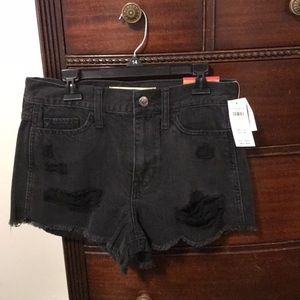 Hollister Hi Rise Shorts